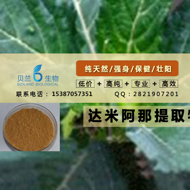 达米阿那提取物,Damiana extract