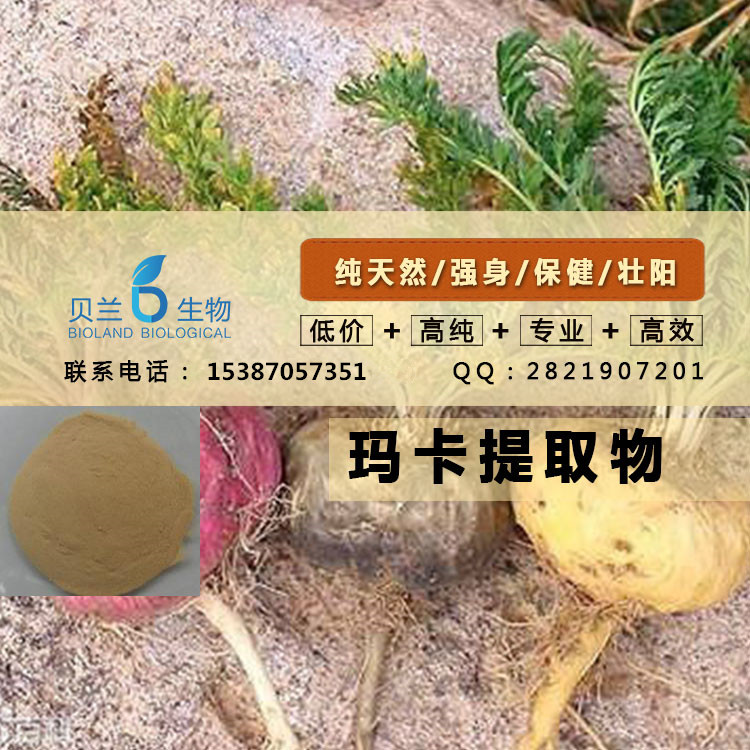 玛卡提取物,Maca P.E.