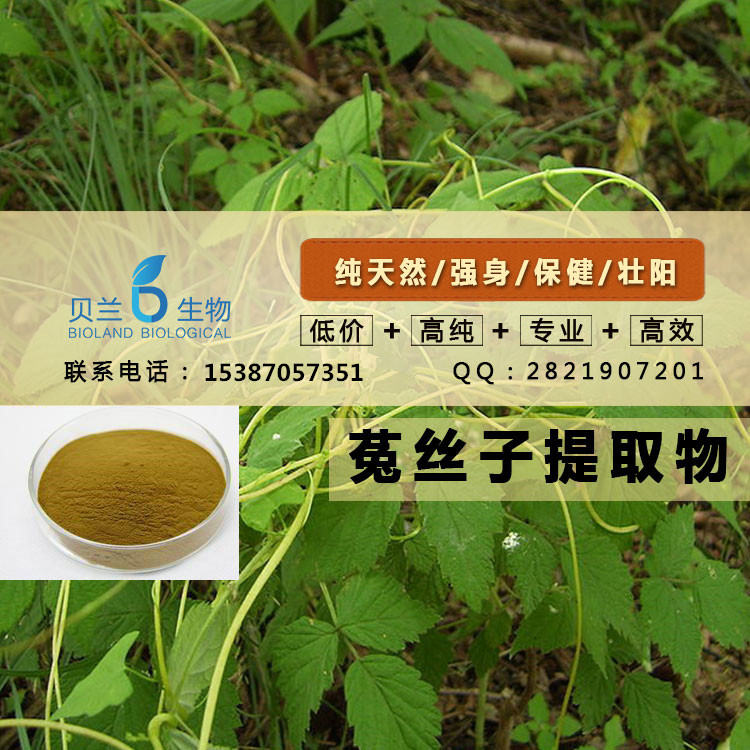 菟丝子提取物,China Dodder Extract