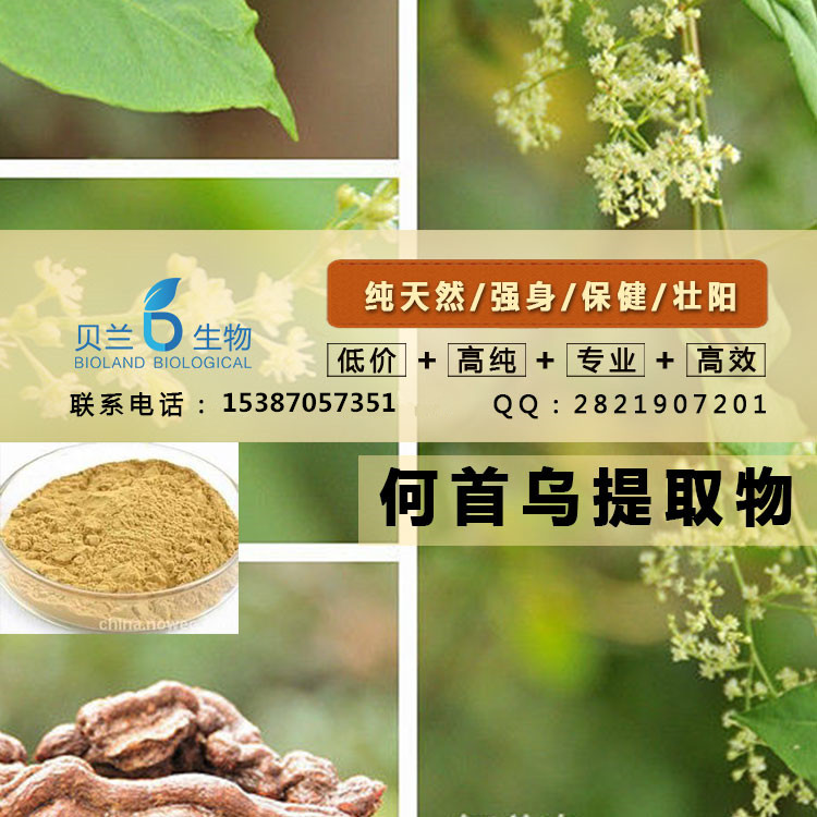 天然健康何首乌提取物直销,Polygonum multiflorum Thunb