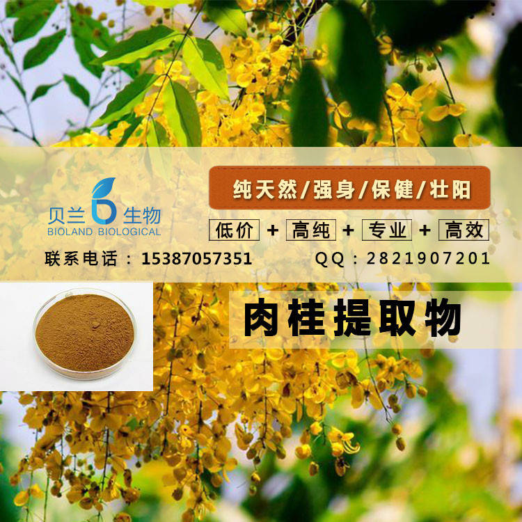 天然健康肉桂提取物直销,Cinnamon Bark Extract