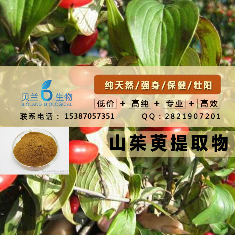 天然健康山茱萸提取物直销,Fructus Corni Extract