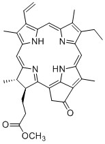 焦脱镁叶绿酸a甲酯,methyl pyropheophorbide a；pyropheophorbide a methyl ester