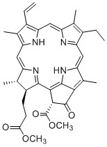 脱镁叶绿酸a甲酯,methyl pheophorbide a；pheophorbide a methyl ester