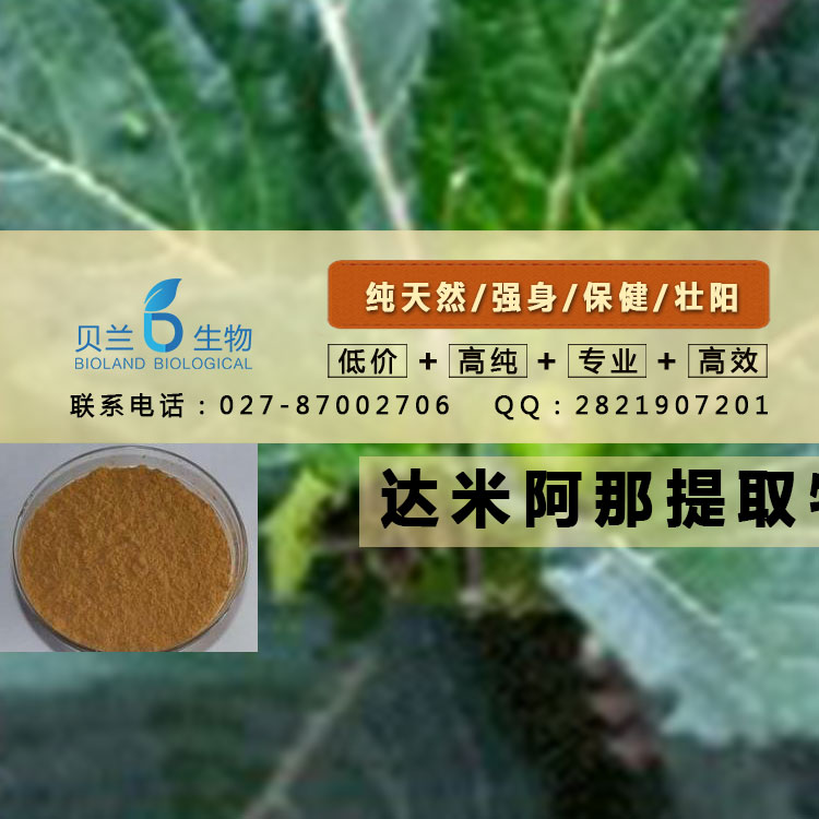 达米阿那提取物的市场价格，咨询15387057351,Damiana extract