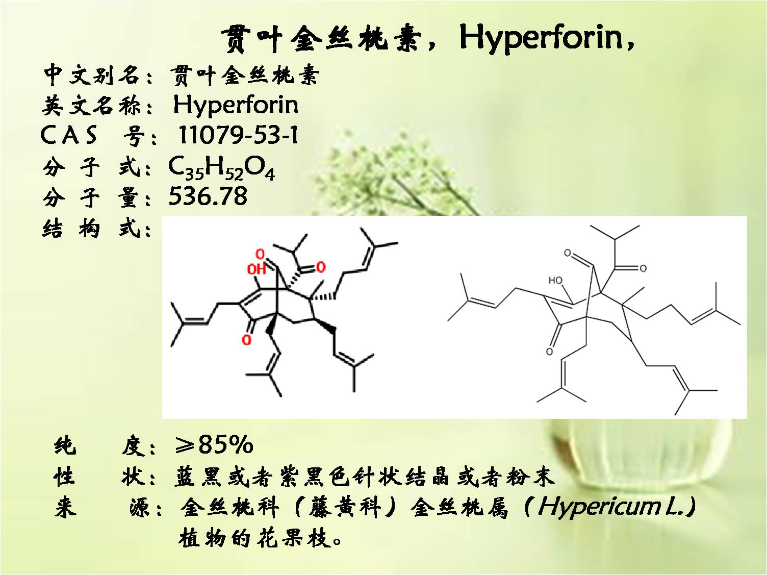 贯叶金丝桃素，Hyperforin ，≥85,Hyperfori