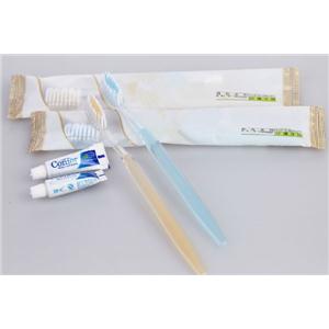 Disposable Toothbrush Kit