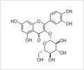 5-羟基色氨酸（加纳籽提取物）,5-htp (griffonia seed extract)