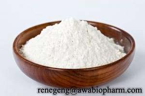 透明質(zhì)酸,hyaluronic acid