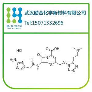 头孢替安盐酸盐；66309-69-1；7-氨基头孢霉烷酸7-ACA