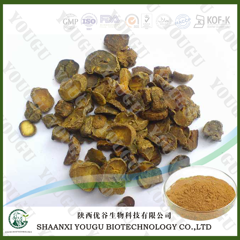 Natural corydalis yanhusuo extract /Rhizoma Corydalis Extract/tetrahydropalmatin,Rhizoma Corydalis Extract/tetrahydropalmatin/Rotundine