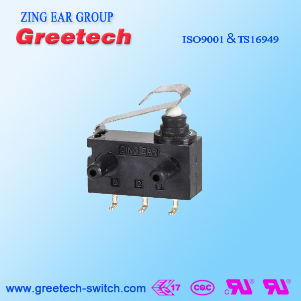 Waterproof Auto Mini Micro Switch,Waterproof Auto Mini Micro Switch