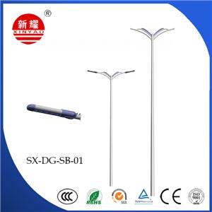 Double Arm Light Pole