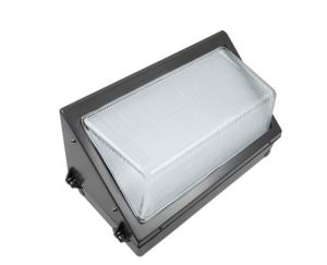 .30w LED Wallpack