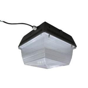 40w LED Canopy Light