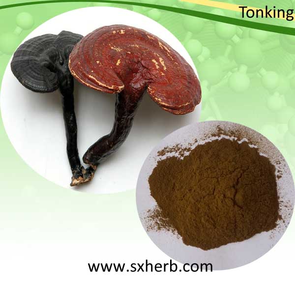 灵芝提取物 整芝原料萃取 口感纯正味道苦 灵芝多糖30%,Reishi mushroom extract Ganoderma ludicium extract polysaccharides 30%