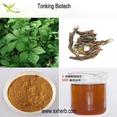 增强免疫力 保健品原料 刺五加提取,Siberian ginseng extract