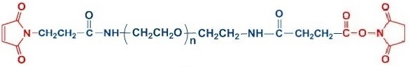 MAL-PEG-SAS 马来酰亚胺聚乙二醇琥珀酰亚胺琥珀酰胺,Maleimide-PEG- Succinimidyl Succinamide
