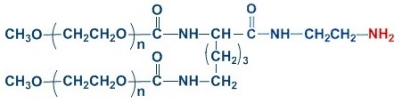 mPEG2-NH2 分枝單甲氧基 聚乙二醇胺,mPEG2-Amine