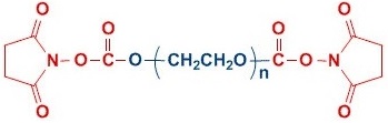 SC-PEG-SC 聚乙二醇 二琥珀酰亚胺碳酸酯,PEG-bis(Succinimidyl Carbonate)