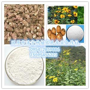 菊粉 糖尿病患者的首选 菊芋提取物  洋姜 菊芋根提取
