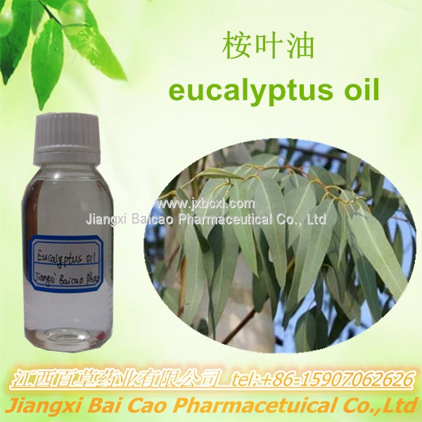 桉叶油,eucalyptus oil