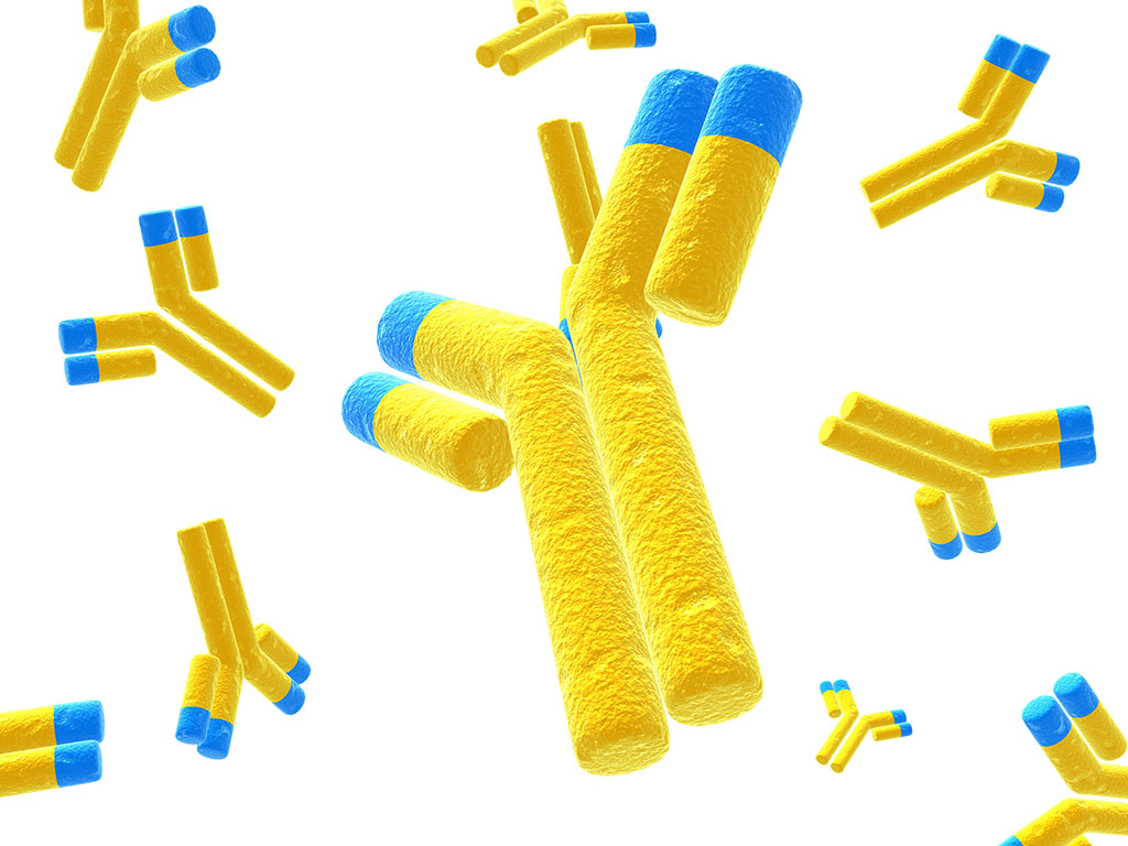 致病菌類大腸桿菌O157：H7E. coli O157: H7O157：H7單克隆抗體