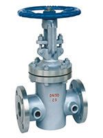 Jacket Gate Valve