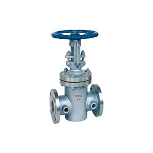 Jacket Gate Valve