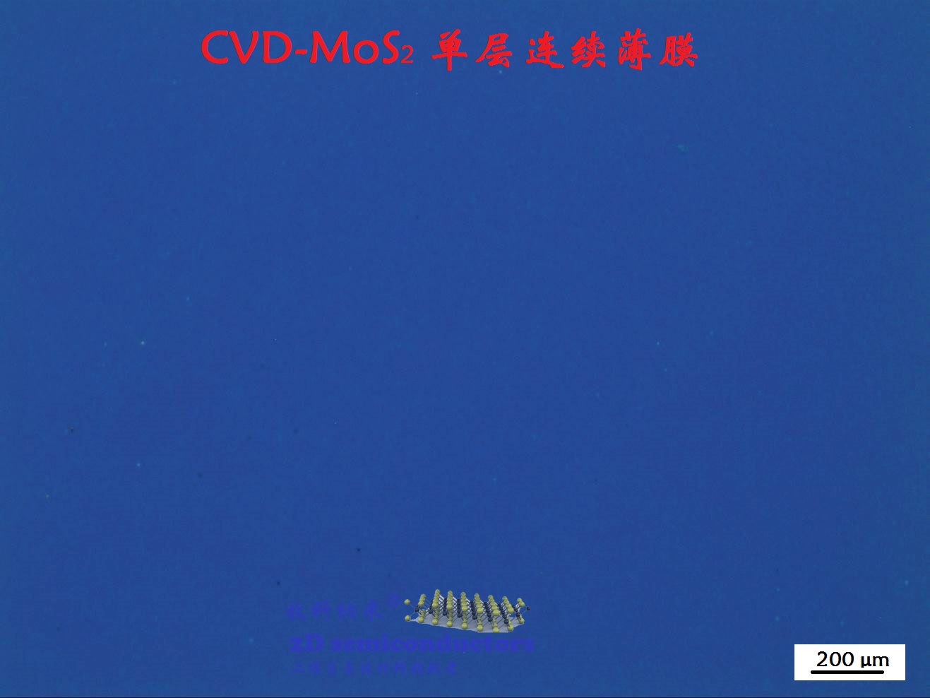 CVD-MOS2单层薄膜,二硒化钼薄膜