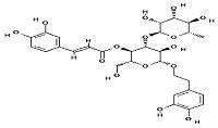 毛蕊花糖苷,Acteoside