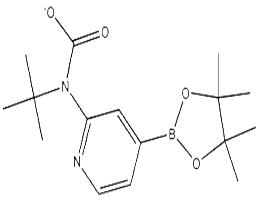 2-(叔丁氧基羰基氨基)吡啶-4-硼酸频那醇酯
