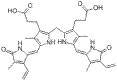 膽紅素，HPLC≥98%,Bilirubin