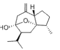 莪術(shù)醇，HPLC≥98%,Curcumol