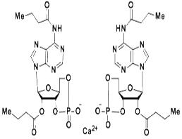 二丁酰环磷腺苷钙