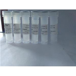 Polybrene（Hexadimethrine Bromide）聚凝胺（10mg/ml）