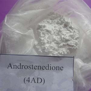 raw steriod 4-雄烯二酮 hormone for bodybuilding,Androstenedione