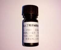 重组人丁酰胆碱酯酶（来自兔奶）,Recombinant human Butyrylcholinesterase, expressed in rabbit milk