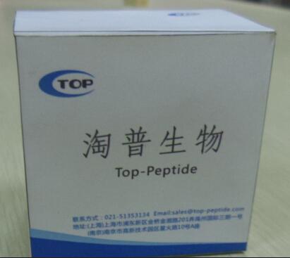 多肽定制,Polypeptide custom