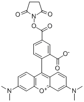 5-羧基四甲基罗丹明琥珀酰亚胺酯,5-Carboxytetramethylrhodamine succinimidyl ester(5-TAMRASE)