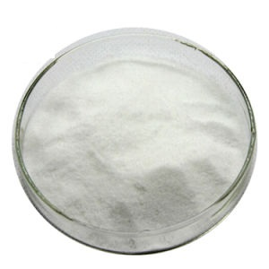 醋酸氯己定|56-95-1  优质供应商