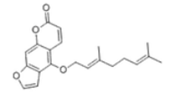 佛手柑素,Bergamotine