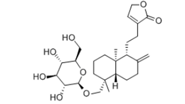 新穿心莲内酯,Neoandrographolide