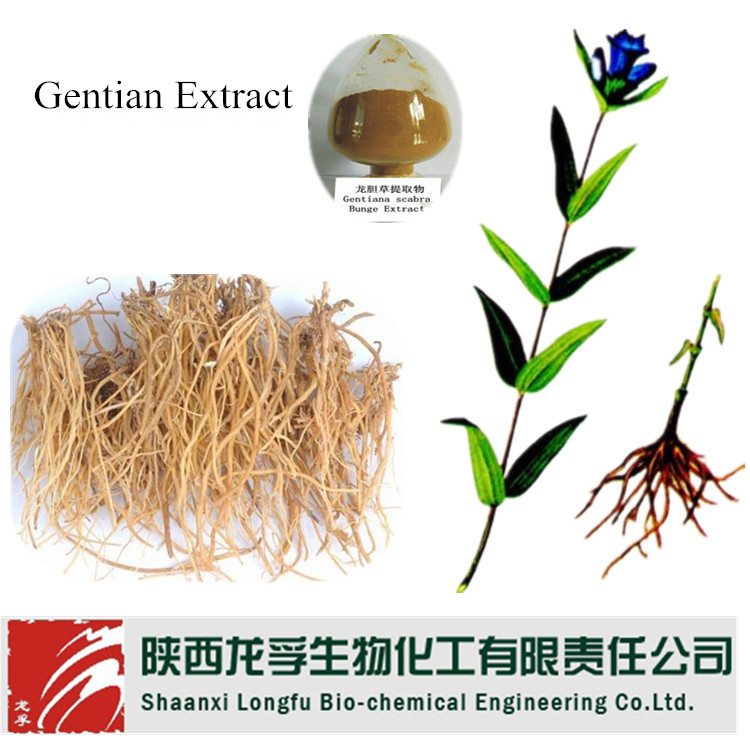 绞股蓝提取,Gynostemma extract