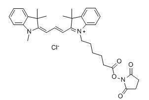 CY3-NHS酯，Cy3 NHS ester，Cy3-N-羟基琥珀酰亚胺酯,Cy3 NHS ester