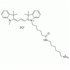 Cyanine3 amine,CY3 NH2,Cy3 amine,Cy3 氨基活性染料,Cyanine3 amine,CY3 NH2,Cy3 amine