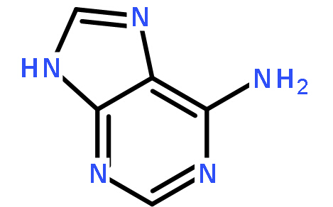 腺嘌呤|Adenine|73-24-5|原料藥生產(chǎn)廠家價格,Adenine