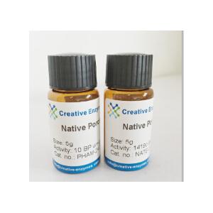 Native Porcine Angiotensin Converting Enzyme