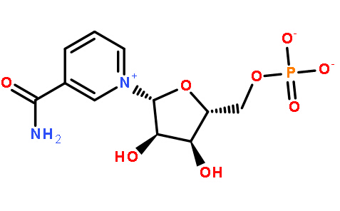 β-煙酰胺單核苷酸原料藥生產(chǎn)廠家價(jià)格,BETA-NICOTINAMIDE MONONUCLEOTIDE