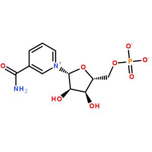 β-烟酰胺单核苷酸原料药生产厂家价格